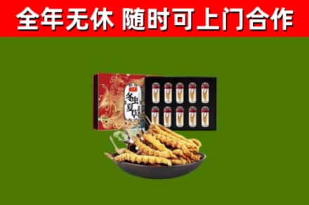 郑州回收冬虫夏草价格